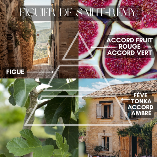 Coffret 20 fondants - Balade en Provence