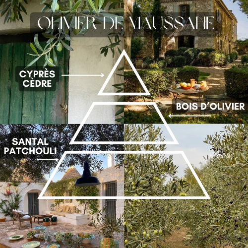 Bougie - Balade en Provence